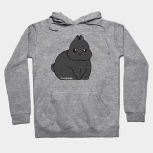 Netherland Dwarf Black Solid | Bunniesmee Hoodie